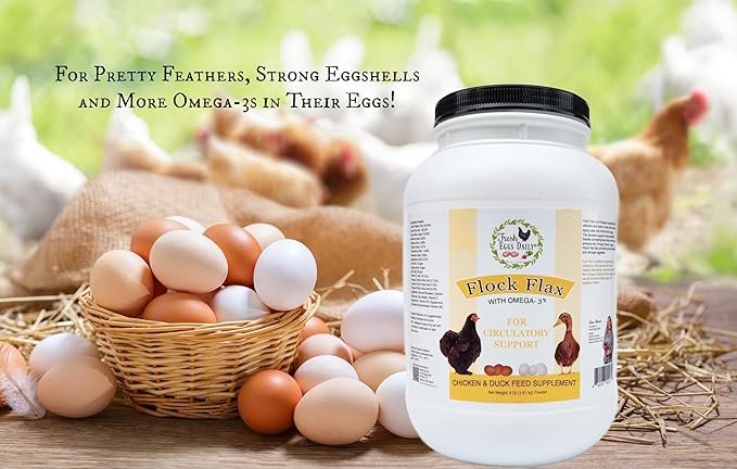 Fresh Eggs Daily Flock Flax – Natural Flaxseed Supplement for Chickens & Ducks – Enhances Omega-3 Levels, Supports Feather Health, and Strengthens Eggshells – 4 lb