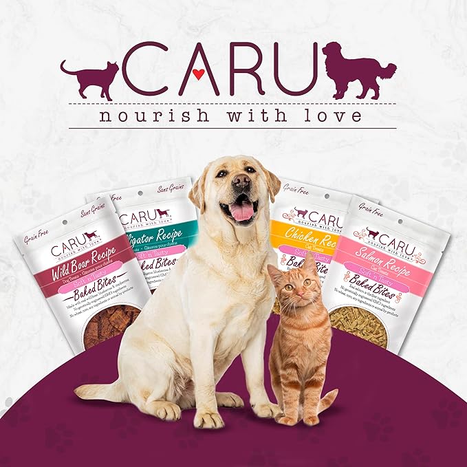 CARU - Soft 'n Tasty Baked Bites - Chicken Bites Dog Treats - Flavorful Training Treats - 4 oz