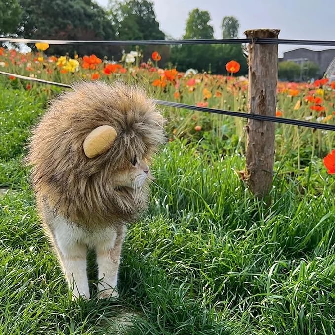 Lion Mane Wig for Cats, Adjustable Washable, Cat Lion Mane Wig for Halloween (Small)