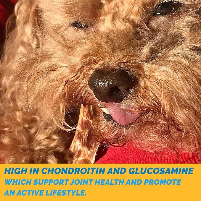 123 Treats - Esophagus Dog Treats (6 Inches - 25 Count) 100% Natural Gullet Sticks for Dogs Flat - Beef Jerky Dog Treats Strips Free of Preservatives, Hormones & Antibiotics
