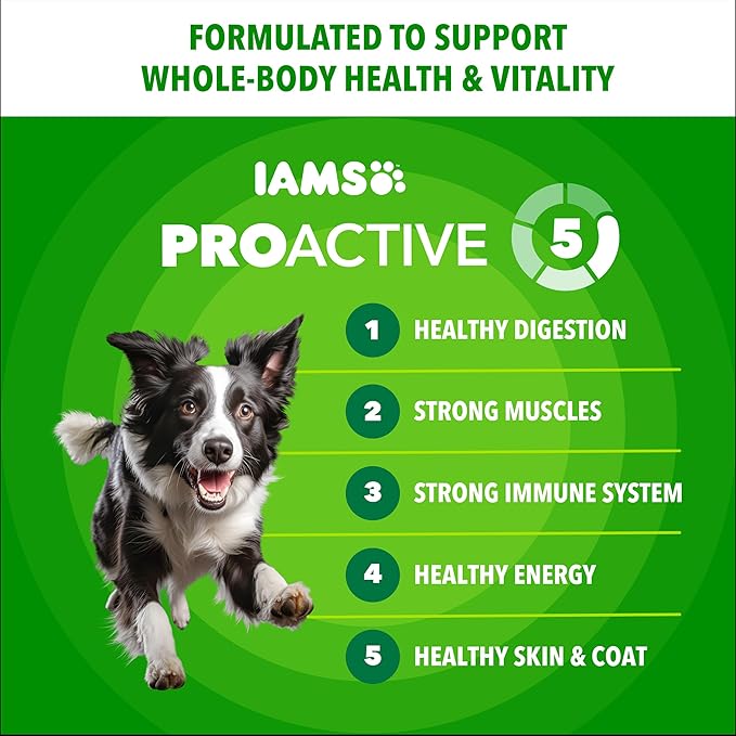 IAMS Proactive Health Adult Minichunks Dry Dog Food Chicken & Whole Grain Recipe, 15 lb. Bag