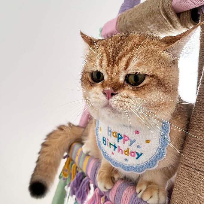 Cute Pet Birthday Costume Bandana Scarf Bib and Hat Set for Cat Small Dog, Cat Birthday Decorations Outfits (Blue)