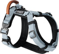 MADE TO ROAM Premium Explorer Harness - Y-Shaped Dog Harness with Adjustable Durable Nylon, Soft Padding, Metal Buckles and Leather Handle for Small, Medium, Large Dogs (Alaska Daybreak, Size 4)