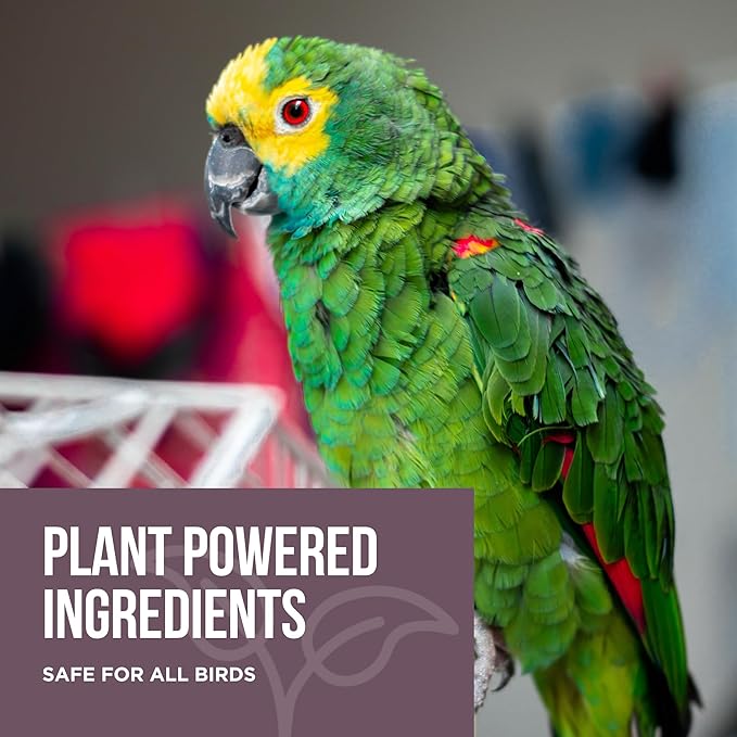 Natural Rapport Bird Cage Cleaner - The Only Bird Cage Cleaner You Need - Bird Poop Spray Remover, Naturally Removes Bird Waste (32 Oz)