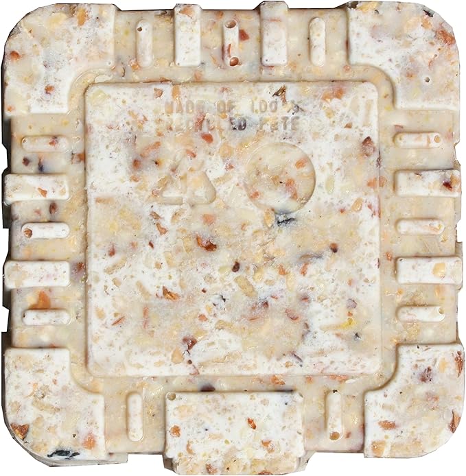 C&S Peanut Treat Suet - 11 oz.
