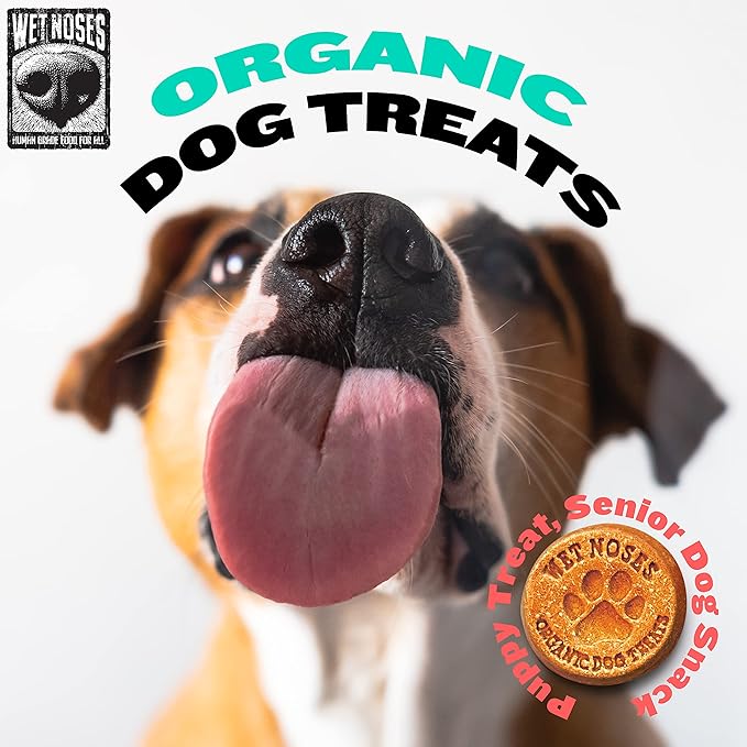 Wet Noses Organic Crunchy Dog Treats – All-Natural, Human-Grade, Non-GMO, Healthy Training & Delicious Snacks for Dogs, All Dog Sizes & Breeds – Grain Free Peanut Butter & Molasses, 14oz (Single Pack)