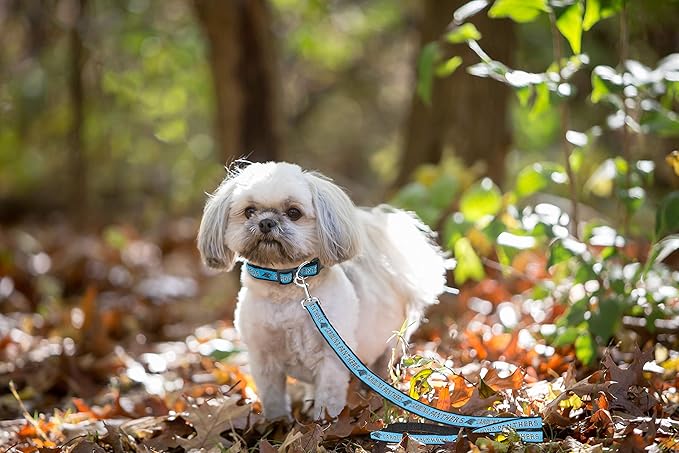 Pets First NFL Licensed Carolina Panthers Pet Leash, Size Small – Durable Satin Dog & Cat Walking Strap and Pet Tether with Embroidered Team Name & Logo