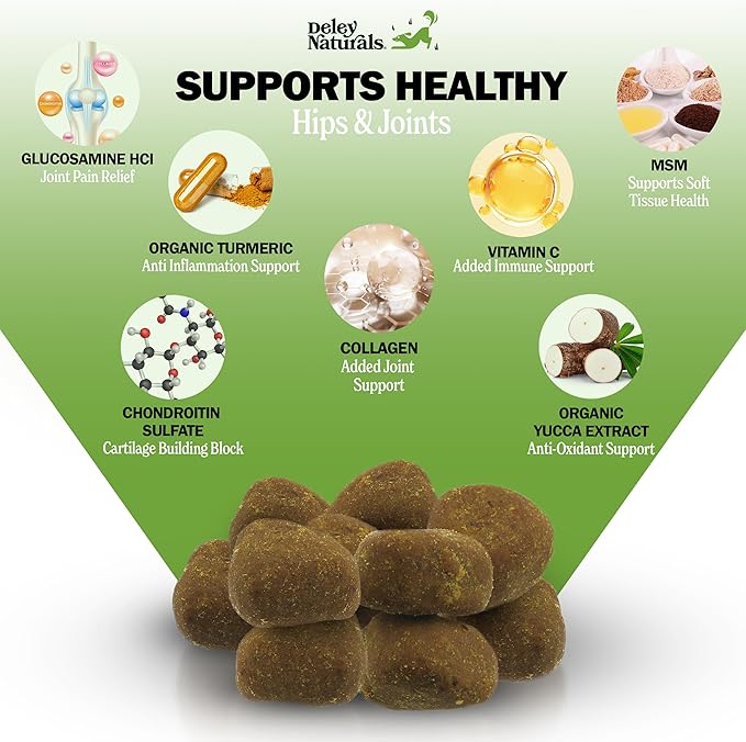Deley Naturals Hip and Joint Supplement for Dogs - Glucosamine for Dogs with MSM, Chondroitin and Collagen Supplements - Joint Support for Mobility, Flexibility and Comfort - 120 Chicken Flavor Chews