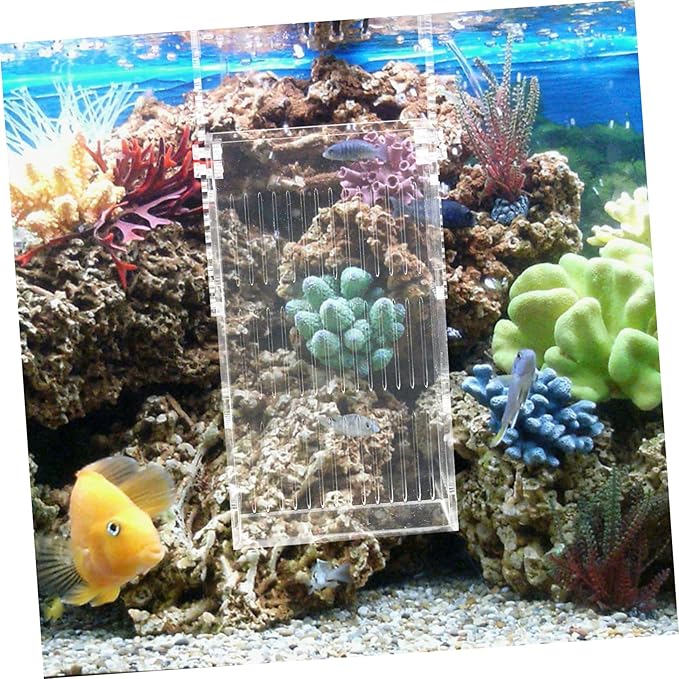 Sosoport Acrylic Incubator Fish Tank Divider Turtle Habitat Betta Fish Tank Separator for Breeding Aquarium Accessory