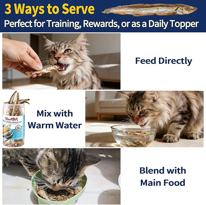 Whole Capelin Cat Treats Freeze Dried - Crunchy Dental Sticks, Single Ingredient Snacks, Rich in Natural Oils for a Glossy Coat & Healthy Skin - No Grains, No Fillers 3.5oz