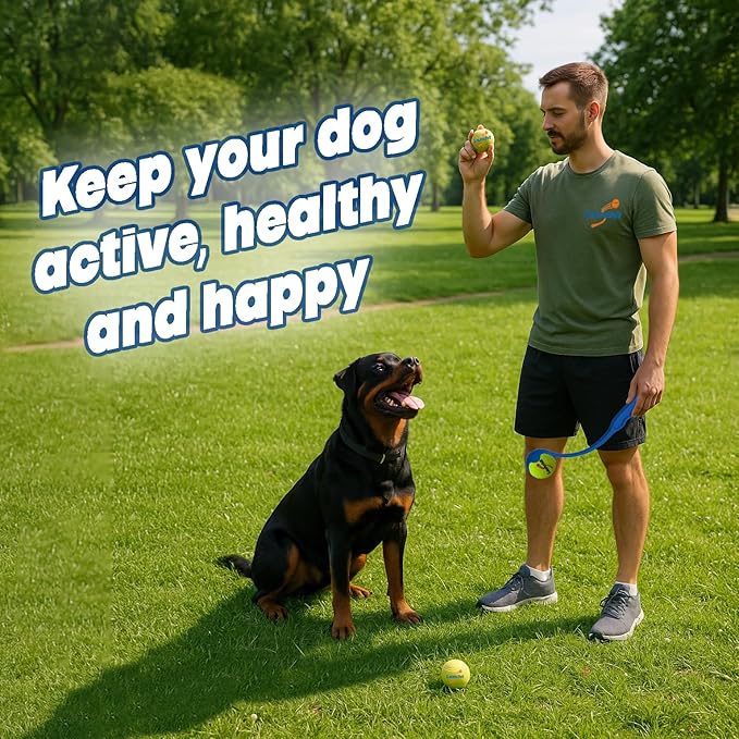 Dog Ball Thrower Launcher, Tennis Ball Launcher, for Small Large Dogs Compact Design 13.8" Stick with Medium 2.5" Red