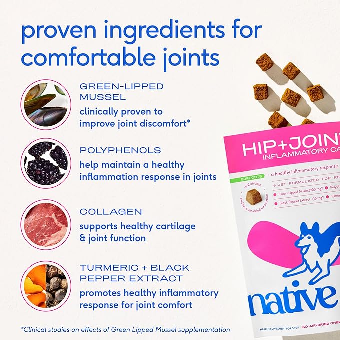 Native Pet Pain Relief for Dogs - Collagen for Dogs Promotes Joint Health, Reduce Inflammation & Stiffness - Senior Pup Joint Supplement - Natural Pain Reliever for Active & Aging Pets - 120 Chews