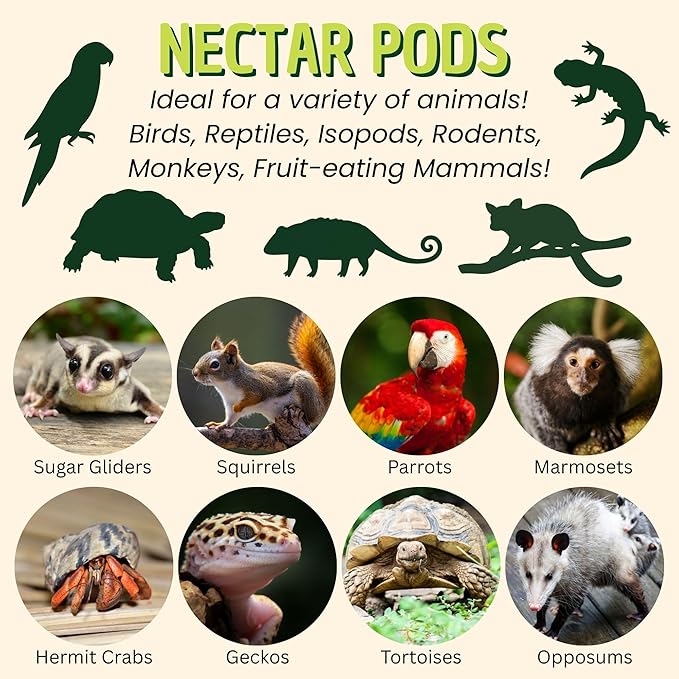 Nectar Pods (Variety 5 Pack) - 40 Calcium-Fortified Jelly Fruit Pods - Sugar Gliders, Marmosets, Squirrels, Parrots, Cockatiels, Parakeets, Birds, Hamsters, Day Geckos, Kinkajous & Other Small Pets…