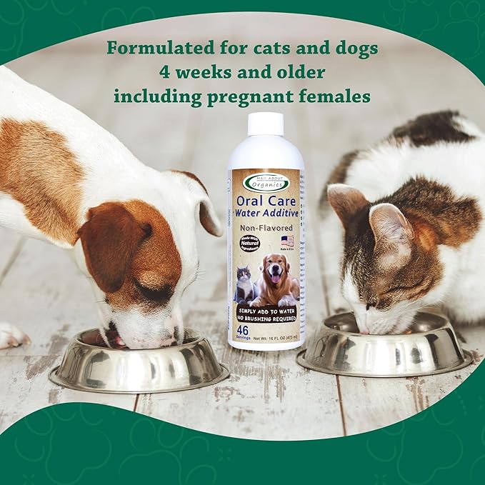 Oral Care Water Additive for Cats & Dogs – Gentle Dental Support – Reduces Breath Odors, Promotes Gum Health – No Brushing – Convenient for Daily Use, Non-Flavored, 16 FL oz