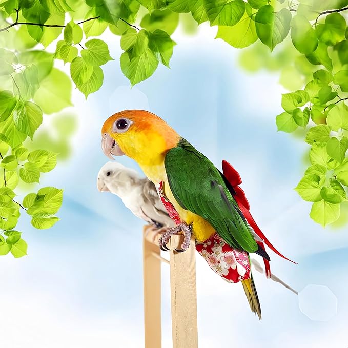 2 Pcs Bird Diapers Bird Harness Flight Suits Diapers with 80in Flying Leash Reusable Parrot Nappy with Waterproof Inner Layer for Cockatiel Budgie Conure Parakeet Lovebird-Red&Purple Sakura