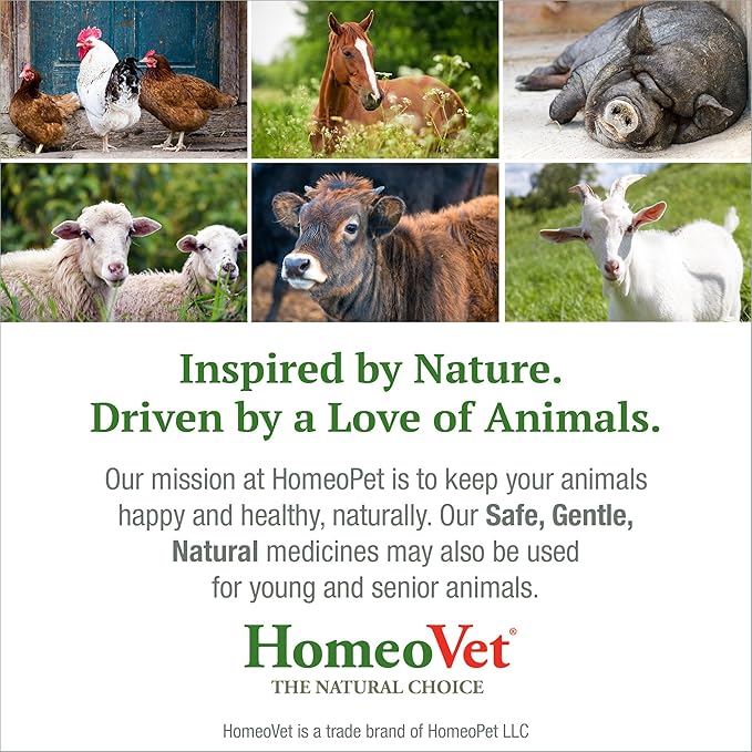 HomeoPet Avian Nose Relief, Safe and Natural Bird and Chicken Supplement, 15 Milliliters