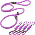 Fida Durable Slip Lead Dog Leash Bulk Pack of 5, Heavy Duty 1/2" x 6 FT Comfortable Strong Rope Slip Lead for Large, Medium Dogs No Pull Pet Training Leash with Highly Reflective, Purple