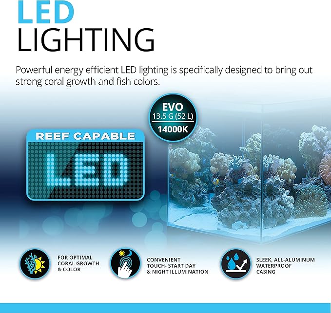 Fluval Evo XII Saltwater Aquarium Kit, 13.5 Gal. – Saltwater Fish Tank with Reef-Capable LED, Efficient 3-Stage Filtration and Seamlessly Integrated Hardware