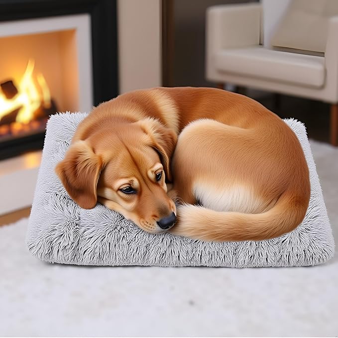 Small Dog & Cat Bed, Washable Warm Winter Fluffy Heated Calming Dog Crate Bed for Small Size Pets, Supportive Plush Crate Pad for Dogs(18 * 12", Light Grey).