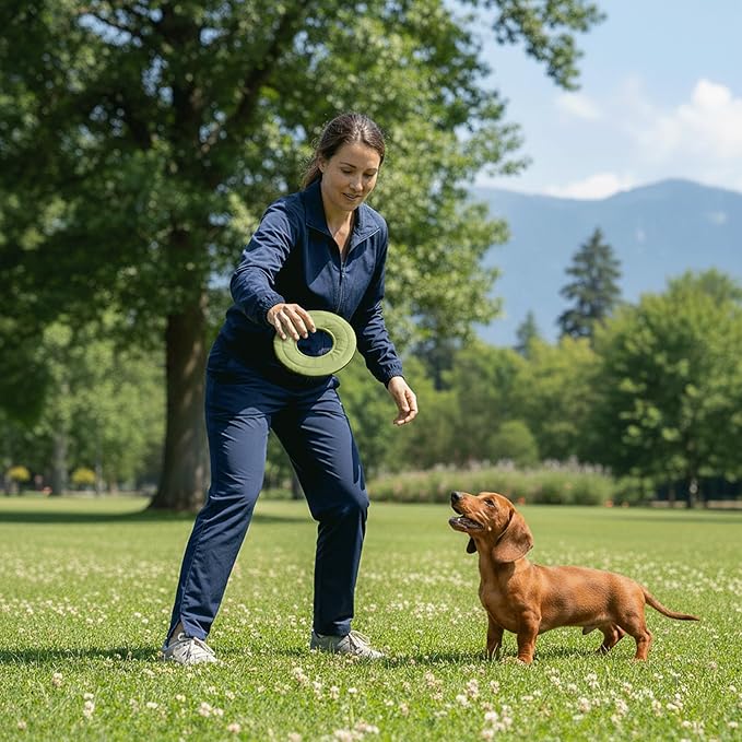 OllyDog Mini Super Flyer Dog Frisbee Toy, 9" – Durable, Lightweight & Water-Resistant Flying Disc – Soft on Teeth & Gums – Floats on Water – Outdoor Fetch Toy for Medium & Large Dogs (Palm)