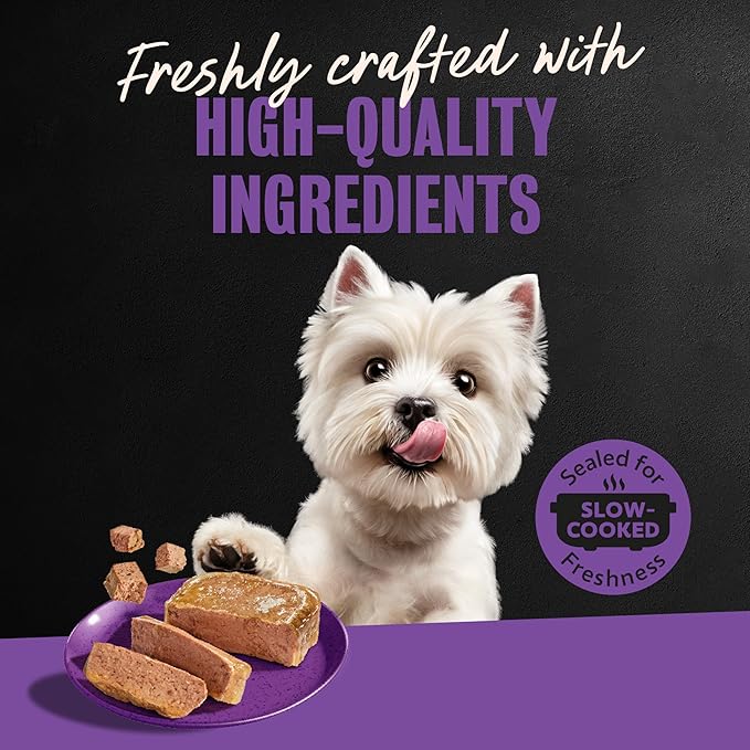 Cesar Classic Loaf in Sauce Adult Wet Dog Food Grilled Chicken Flavor, 3.5 oz. Easy Peel Trays, 24 Count (Pack of 1)
