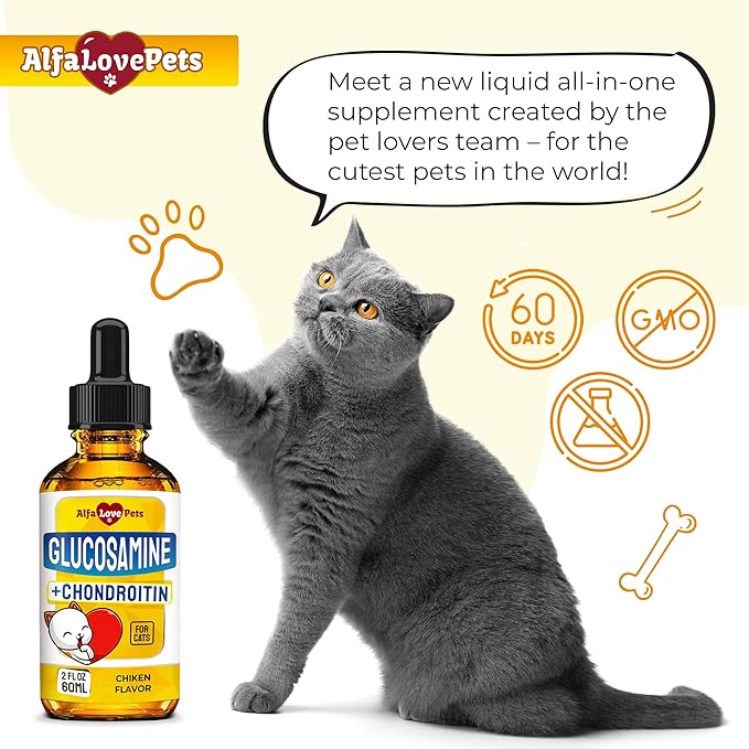 Liquid Glucosamine for Cats with Chondroitin – Taurine for Cats Works for Hips, Ligaments, Muscles, Circulation Maintenance – Cat Supplements with Natural Chicken Flavor 2-oz Bottle