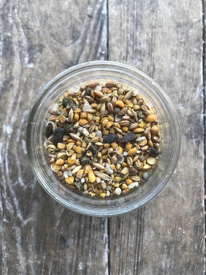 Non-GMO Soy and Corn Free Whole Grain Layer Blend 16% - Chicken Feed for Laying Hens and Ducks - Includes Essential Oils, Herbs, Oyster Shells, Vital Minerals, and Omega 3, 10 lb