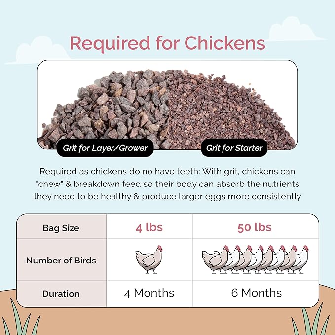 Mile Four Chick Grit (50 lbs) for Baby Chicks Chickens Age 0-8 Weeks, 100% Natural Mineral Chick Grit Quartzite, Poultry Grit Digestive Aid, USA Mined