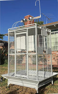 X-Large Double Ladders Open/Close Play Perch Stand Top Wrought Iron Bird Parrot Parakeet Finch Macaw Cockatoo Cage Include Seed Guard and Toy Hook