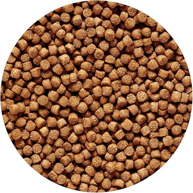 Hikari 12-Ounce Sinking Cichlid Gold Pellets for Pets, Mini