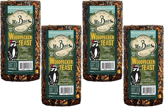 4-Pack Mr. Bird Woodpecker Feast Small Cylinder | Wild Bird Food for Outdoor Birds | Backyard Birdfeeding
