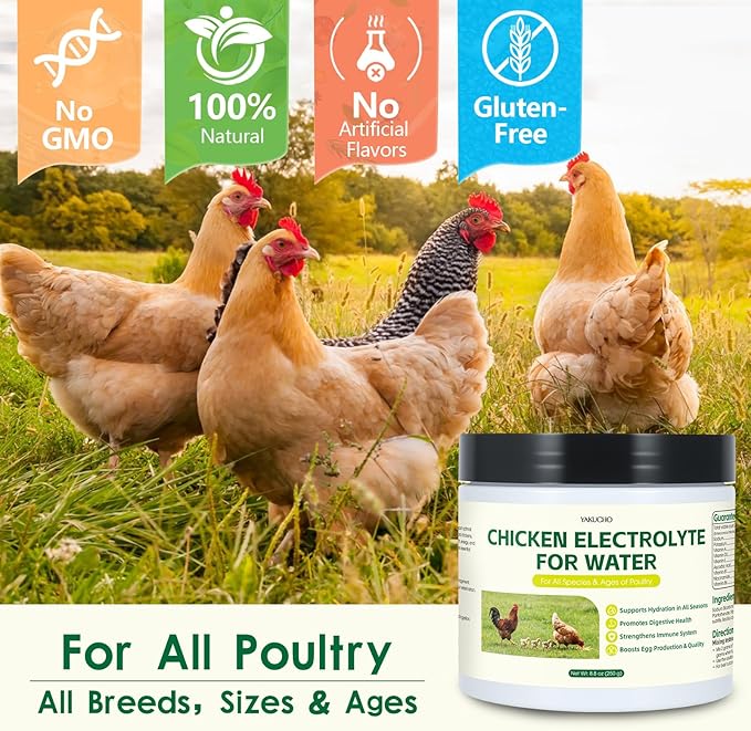 Chicken Electrolytes, Vitamins & Probiotics – Poultry Supplement for Hydration, Immunity & Gut Health – for Chickens, Ducks, Turkeys – 8.8oz Powder – All Ages Formula