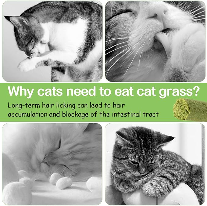 HavenJanny 50g Cat Grass Teething Stick, Freezed Drying Cat Grass Sticks Snacks for Cats, Edible Cat Treats for Teeth Cleaning and Hairball Removal
