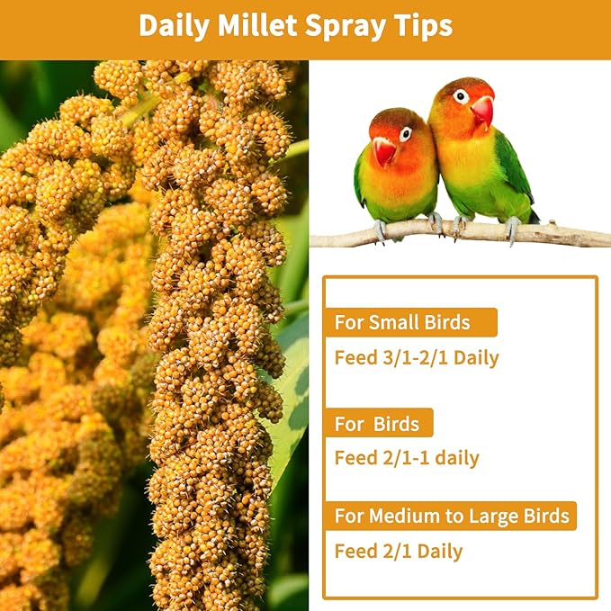 kathson Natural Sun-Dried Birds Millet Spray Millet Treat Bird Snacks for Parrots Cockatiels Lovebirds Painted Buntings and Finches Parakeets 4.4 LB