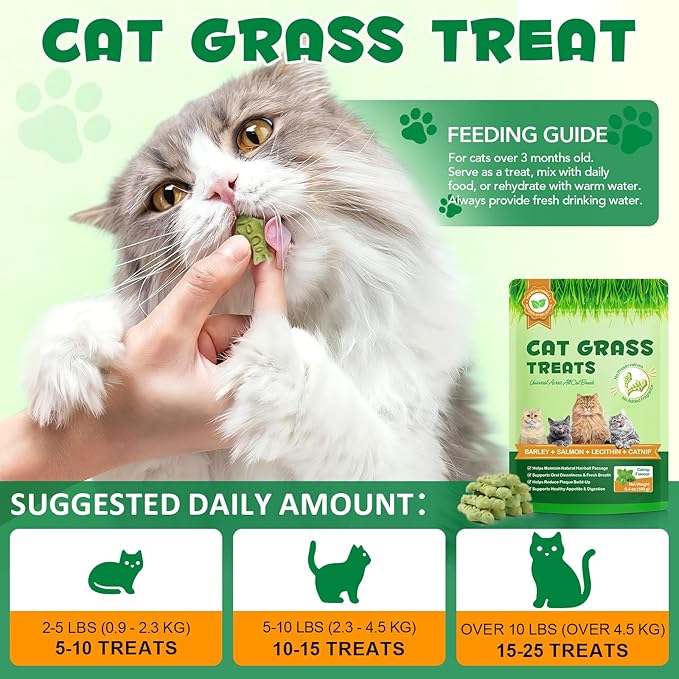 Cat Grass Treats, Cat Treats for Indoor Cats, Promotes Natural Hairball Passage, Reduce Plaque Build-Up Support Fresh Breath, Cats Dental Care Bites Kitten Snacks Training Biscuits, Catnip Flavour