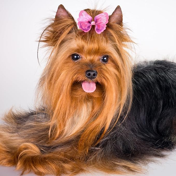 Janinka 36 Pieces Dog Hair Bows with Rubber Bands Easter Butterfly Bows for Small Size Dog Girl Flower Pearls Elastic Hair Ties Bands for Pets Puppy Cats Grooming Accessories(Fresh Color)