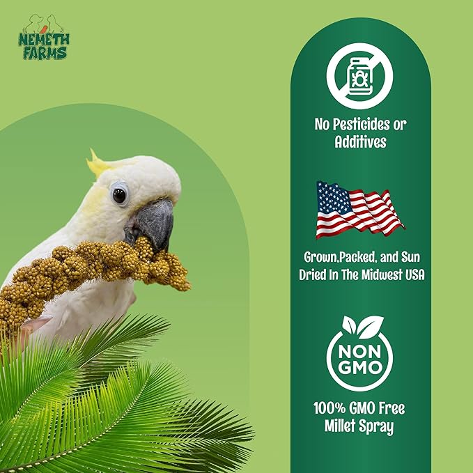 Nemeth Farms 5lbs Premium Spray Millet for Exotic Birds – Grown in The USA – 100% Natural & Non‑GMO Bird Treat – Sun‑Dried Millet for Parakeets, Conures, Cockatiels, Parrots & Budgies