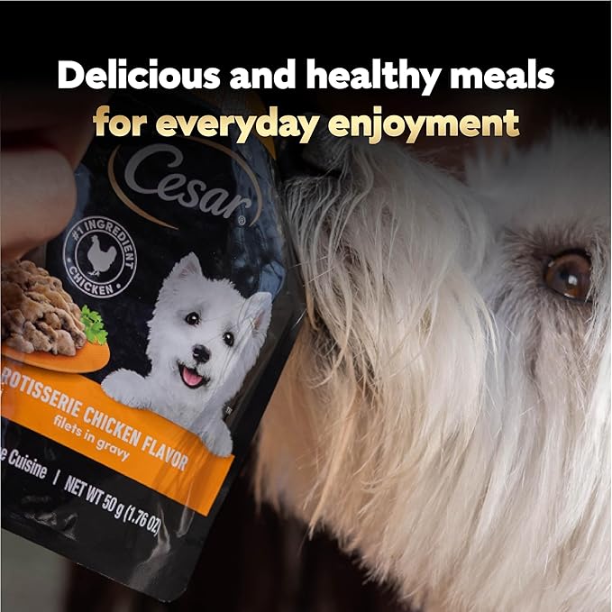 Cesar Filets in Gravy Wet Dog Food Rotisserie Chicken Flavor, Wet Food for Dogs, 1.76 oz. Mini-Pouches, 20 Count