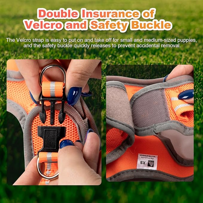 Dog Harness Medium Sized Dogs, Puppy Harness and Leash Set for Training, Running, Walking, Suitable for Small and Medium Dog Vest, Orange, L