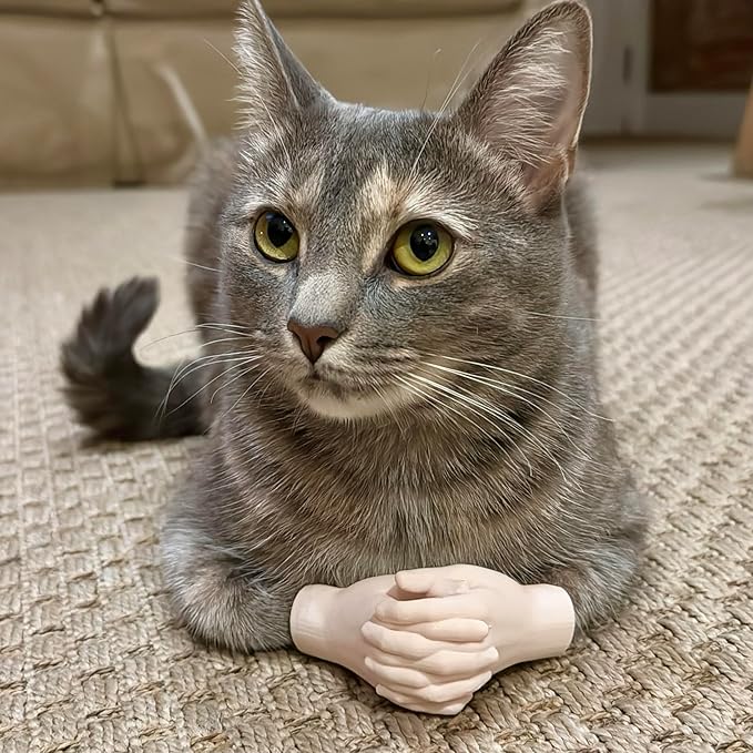 Original Cat Costume Hands, Tiny Cat Hands, Fake Cat Paw Gloves, Arm, Pet Cosplay Accessories, Cute Cat Dress Up, Unique Pet Gift