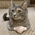 Original Cat Costume Hands, Tiny Cat Hands, Fake Cat Paw Gloves, Arm, Pet Cosplay Accessories, Cute Cat Dress Up, Unique Pet Gift