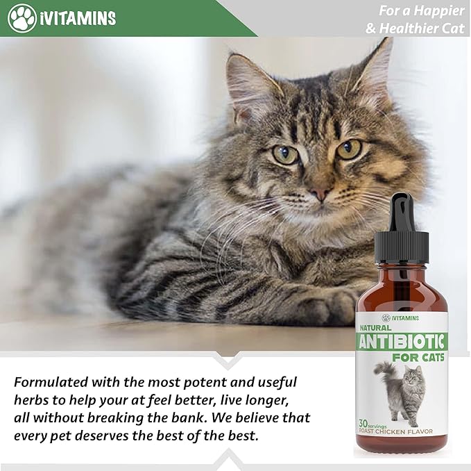 Natural Antibiotics for Cats | Cat Supplements | Cat Antibiotic | Cat Antibiotics | Cat Immune Support | Antibiotic for Cats | Cat Multivitamin | Multivitamin for Cats | 2 Pack: 60 Servings Total