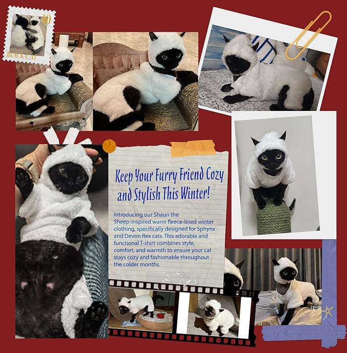 Warm Fleece Lined Winter Clothing for Sphynx & Devon Rex Cats | Soft Faux Lamb Wool | Cozy and Comfortable (Sheep Costume,L 2.5-3.5 kg.)
