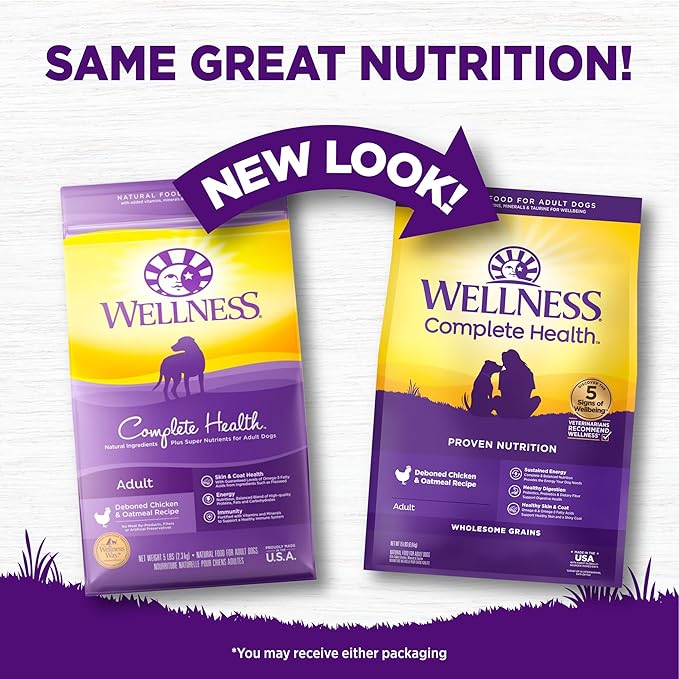 Wellness Complete Health Adult Dry Dog Food, Wholesome Grain Kibble, Natural, Chicken and Oatmeal Recipe, 15 lb Bag