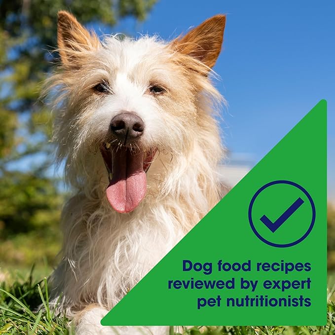 Nature's Recipe Grain Free Wet Dog Food, Chicken & Duck Recipe, 2.75 Ounce Cup (Pack of 12)