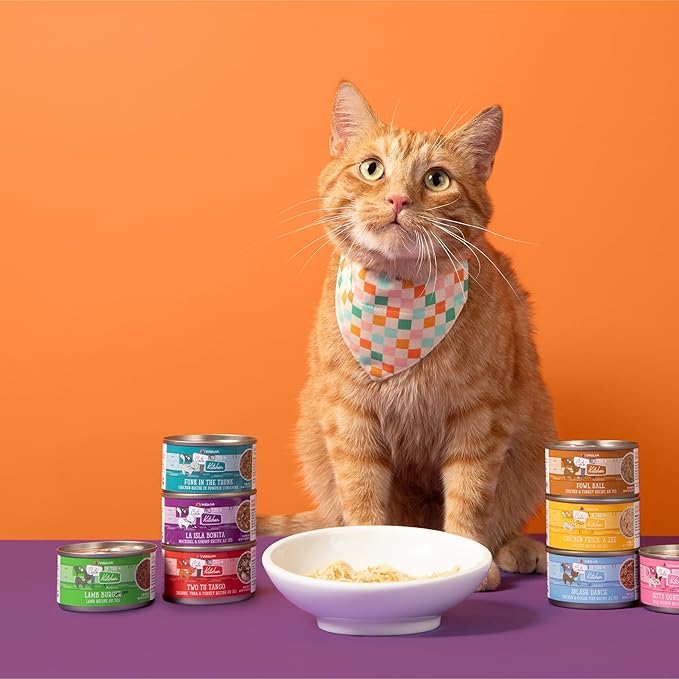 Weruva Cats in The Kitchen, Funk in The Trunk with Chicken in Pumpkin Consomme Cat Food, 3.2oz Can (Pack of 24)