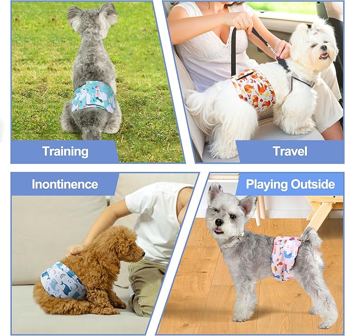 5 Pack Dog Diapers Male Reusable, Premium Belly Bands for Dogs, High Absorbing Male Dog Pee Wraps for Doggie in Incontinence or Excitable Urination,Squirrel XXL