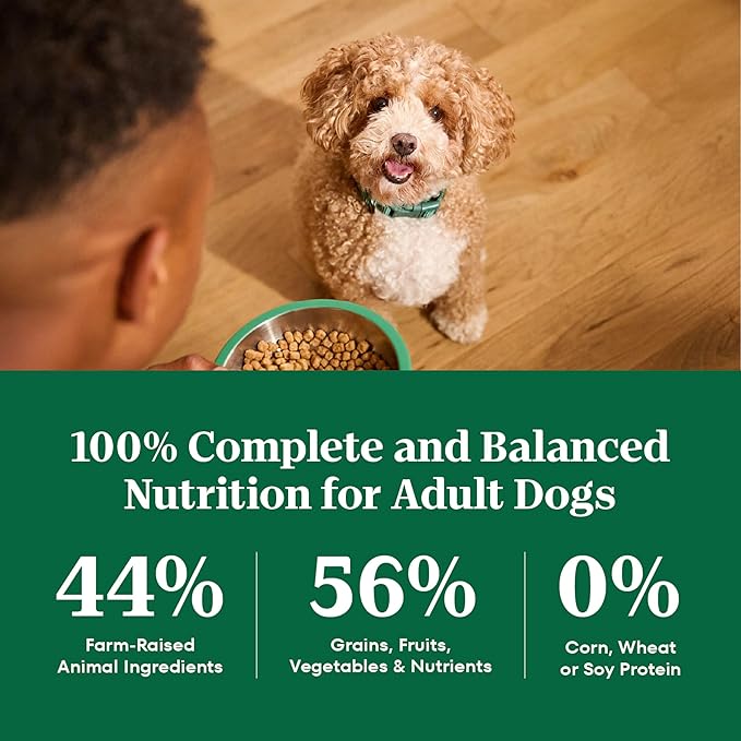 Nutro Natural Choice Small Bites Dry Dog Food, Adult Dog Food Dry Chicken and Brown Rice Recipe, 30 lbs.