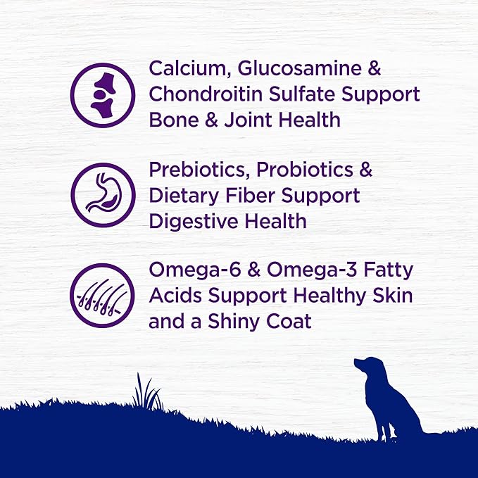 Wellness Complete Health Large Breed Adult Dry Dog Food, Wholesome Grain Kibble, Natural, Chicken and Brown Rice Recipe, 38 lb Bag