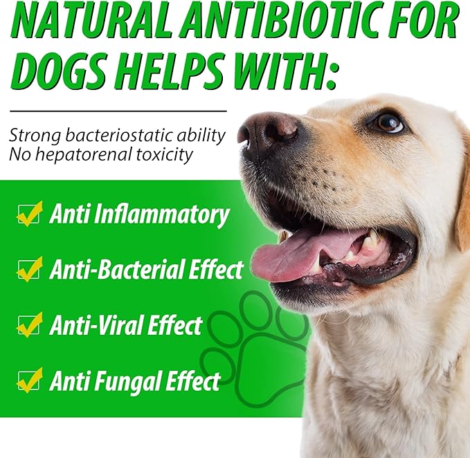 2 Pack Antibiotics for Dogs, Natural Antibiotics for Dogs, Dog Antibiotics, Dog Multivitamin for Pets, Dog Supplies Antibiotics, Natural Dog Antibiotics Supports Dog Allergy and Itch Relief